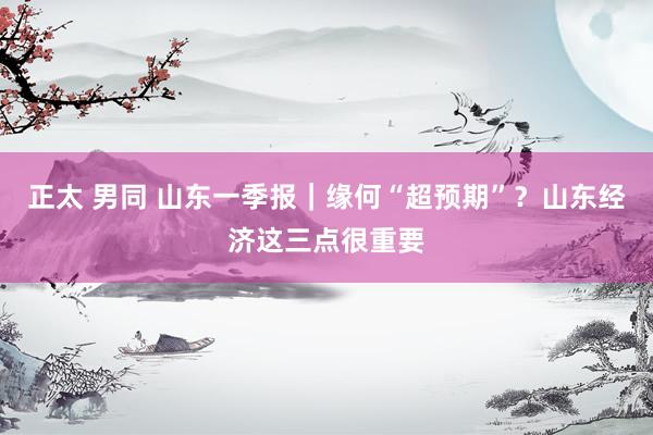 正太 男同 山东一季报｜缘何“超预期”？山东经济这三点很重要